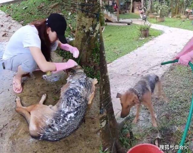 胡静罕发与儿子合照,43岁无皱纹很清纯,儿子继承颜值不像豪门爹