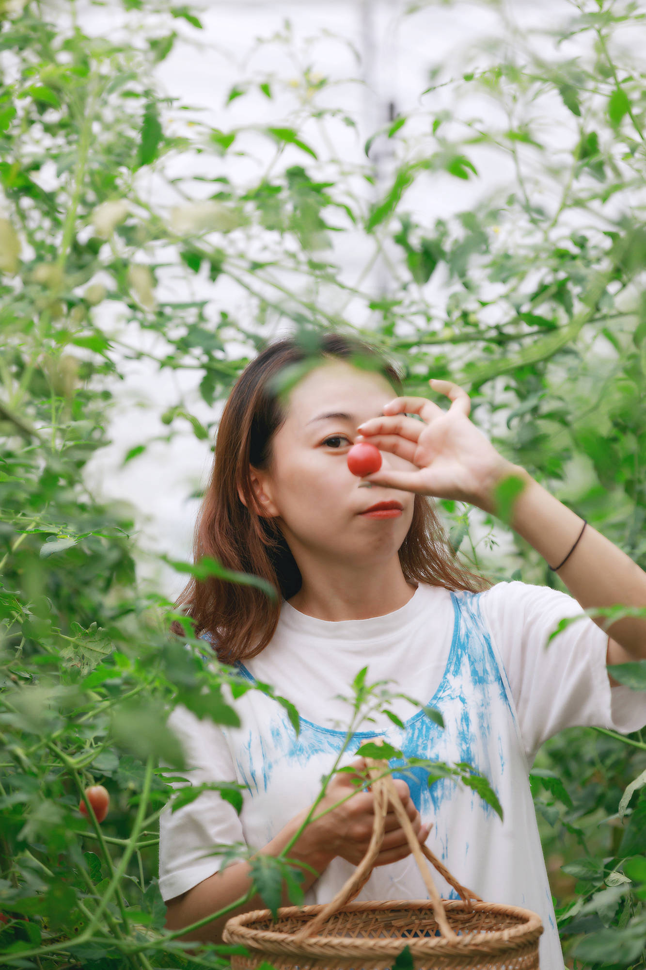 女人|正是蜜桃成熟时，番茄、蓝莓是伴娘夏风掠过北太湖