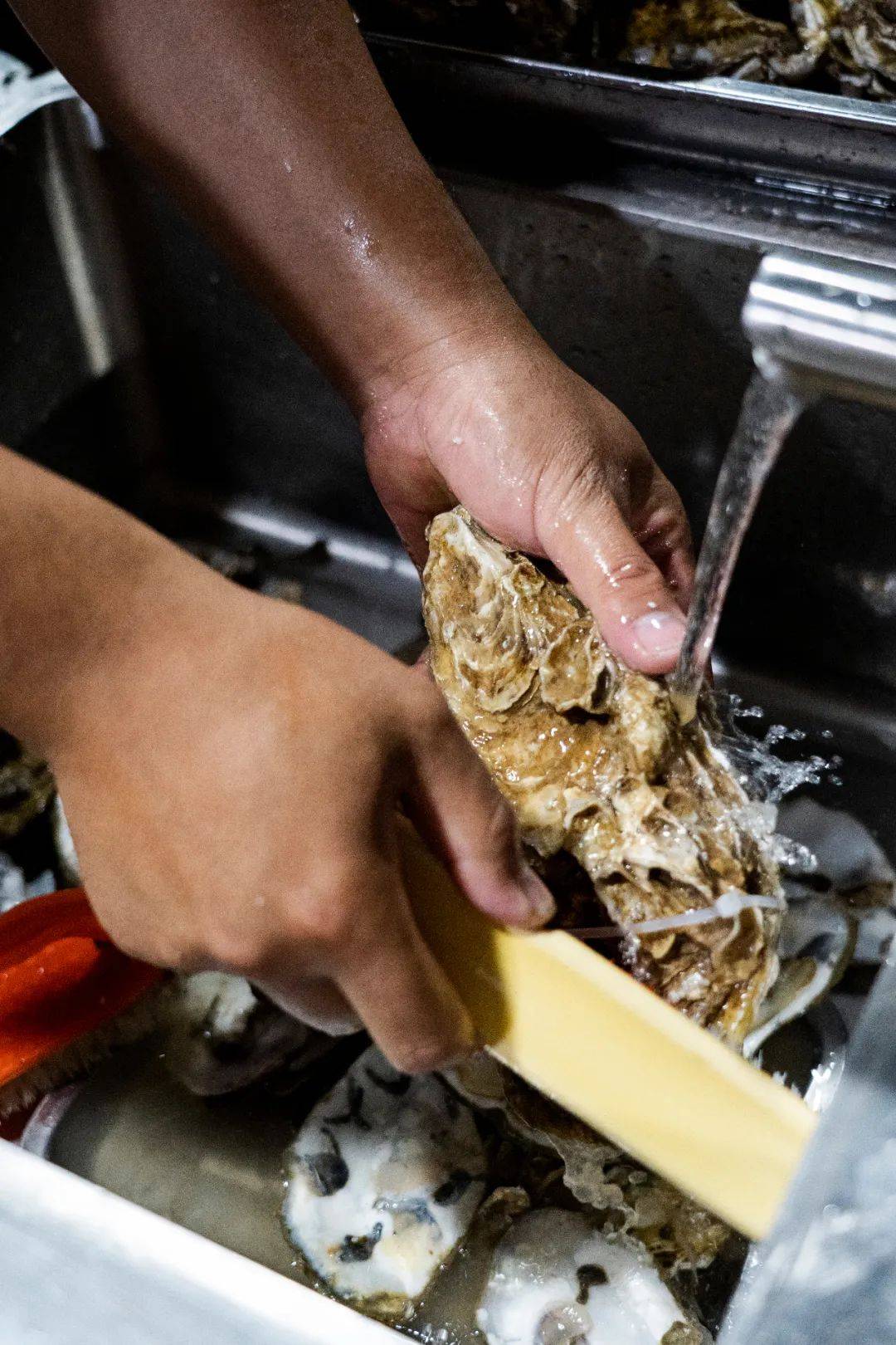 连唐僧|生蚝比47码皮鞋大，连唐僧都无法拒绝藏在昆明小区的老字号烧烤