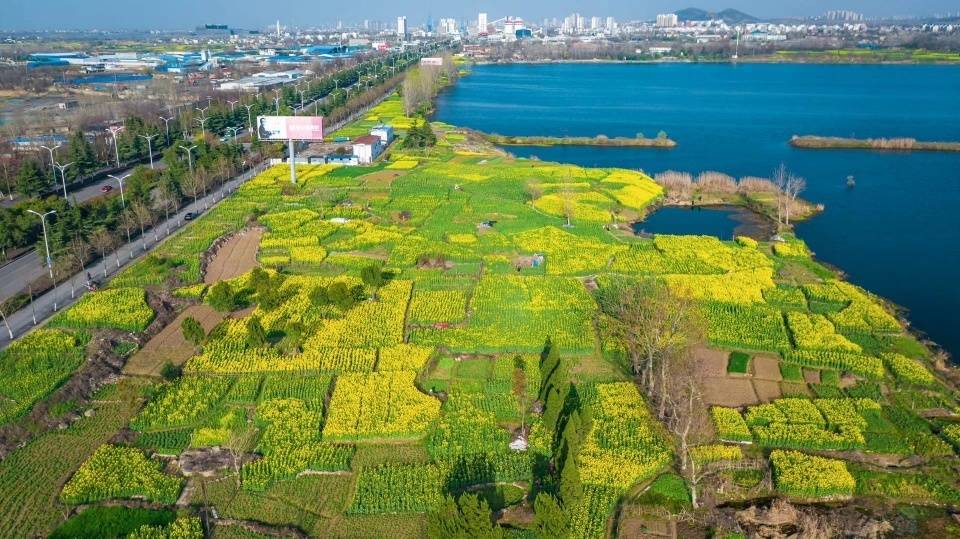 两岸|最适宜安居的淮河两岸，回顾历史，曾是自然灾害最频繁发生的区域