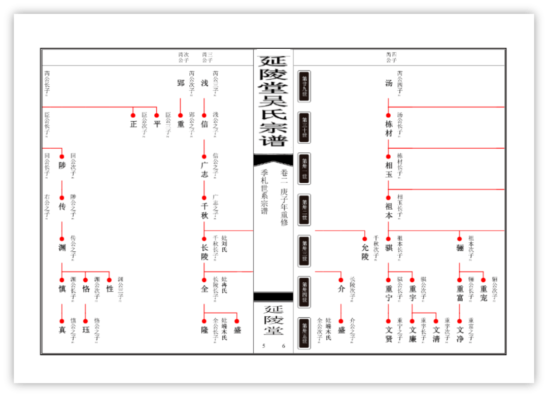 大谱师学院:谱系编辑 谱系吊线图操作