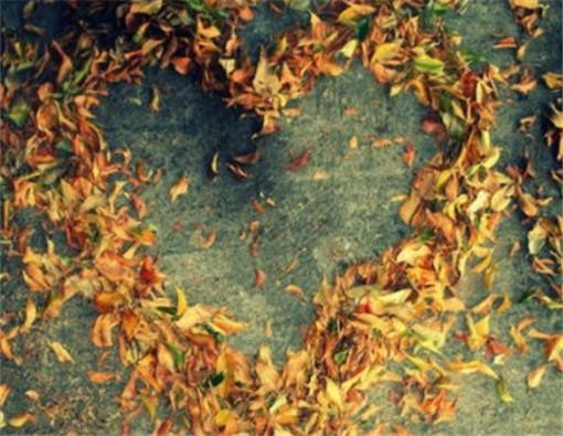 我努力爱你前一句是什么