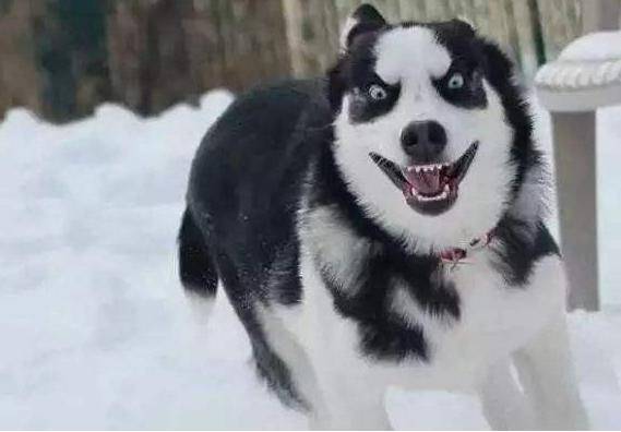 d03759013e3f4960a548527e601388b3.jpeg