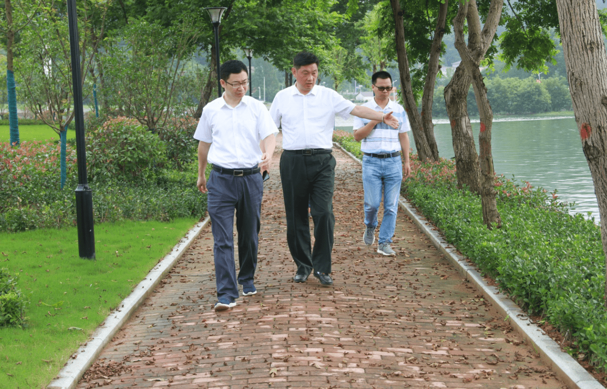 舒城县委常委,副县长杨丙红到河棚镇调研指导乡村旅游业发展工作