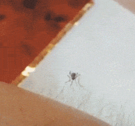 原创搞笑gif:妹子,铁砂掌可是厉害,估计还没嫁出去!