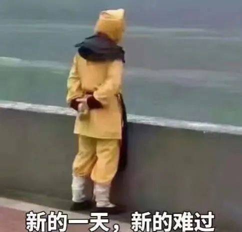 林建厦|熔喷布价格暴跌、趣头条未卜先知、葵花药业……关注这些事儿！