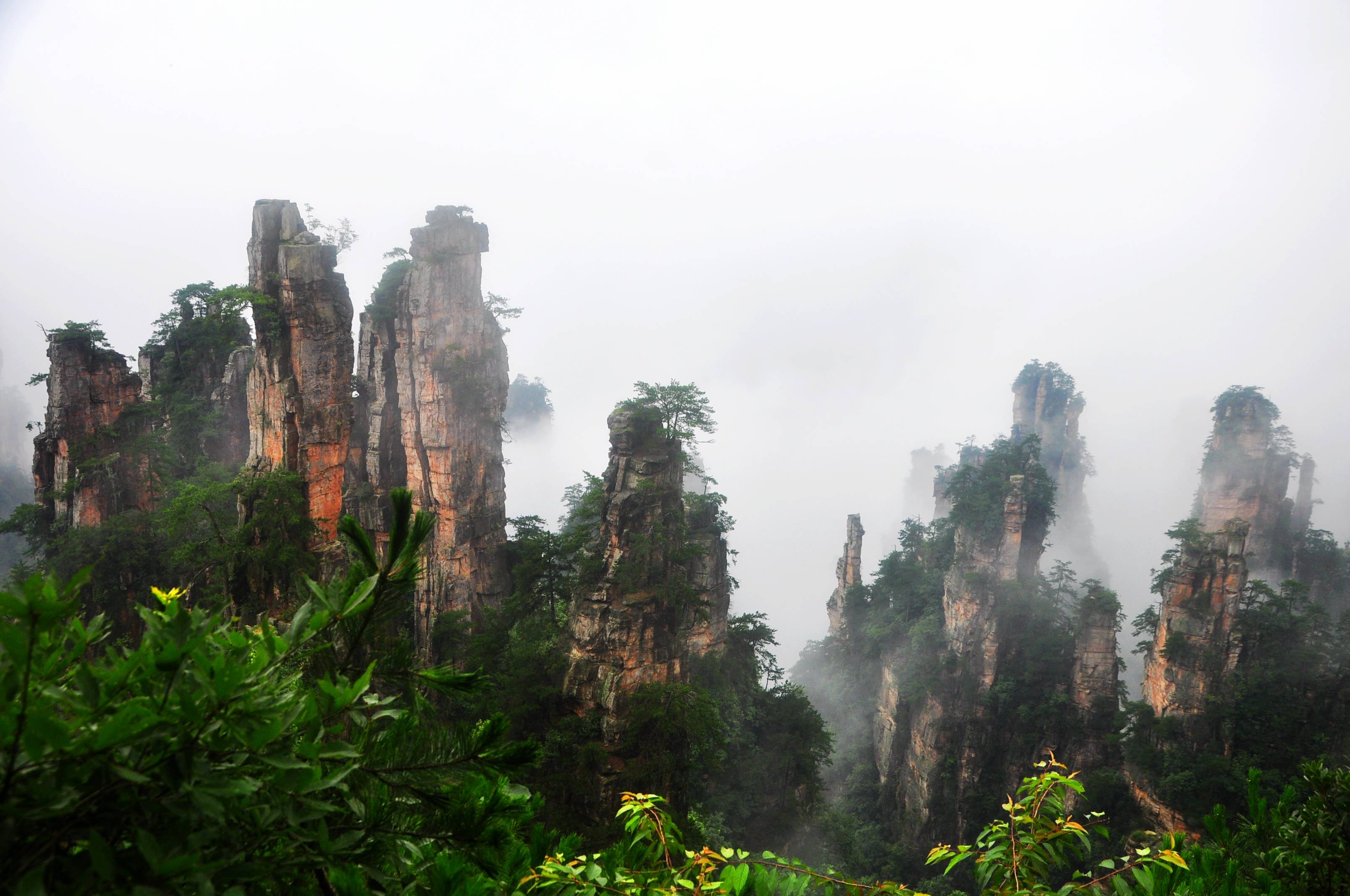 张家界武陵源:八方游客争睹云海仙景(组图)