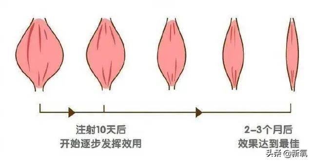 区花|杨紫青簪行被嘲照骗，生图剧照判若两人，她的修图师太难了！