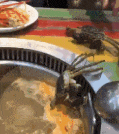 搞笑gif:有多少人是这样喝冲剂的