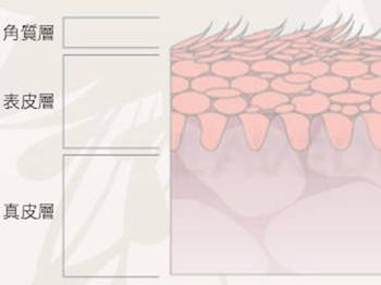 后天角质层受损怎么恢复?这些方法让你告别受伤肌肤