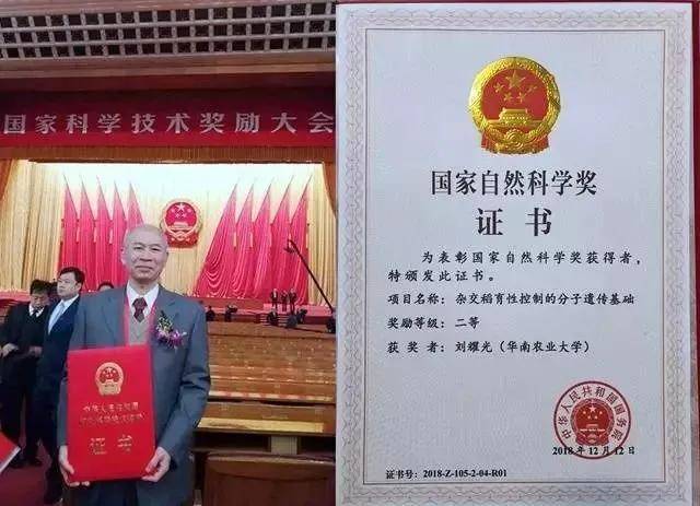 高校|“双一流”建设以来，哪些高校获“三大奖”最多？