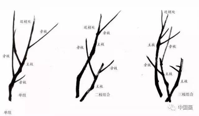 梅花画法,经典实用!(吴昌硕齐白石画梅法)_步骤