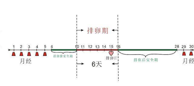 我真心没想要二胎，可是又怀孕了！久备不孕的女性学习了