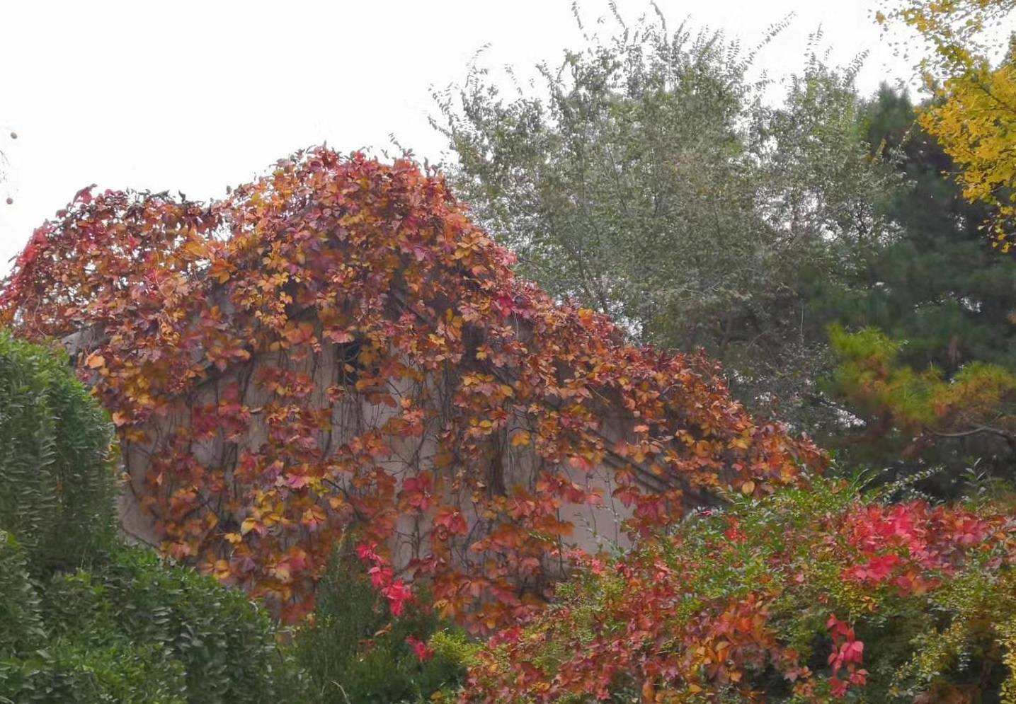 学科|这所211大学“一鸣惊人”，有3个A+类学科，稳居211院校前列！