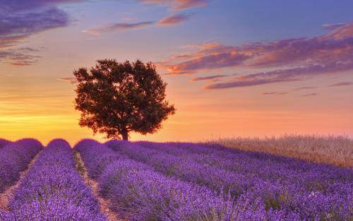 写作|医学论文写作讲究哪些要点