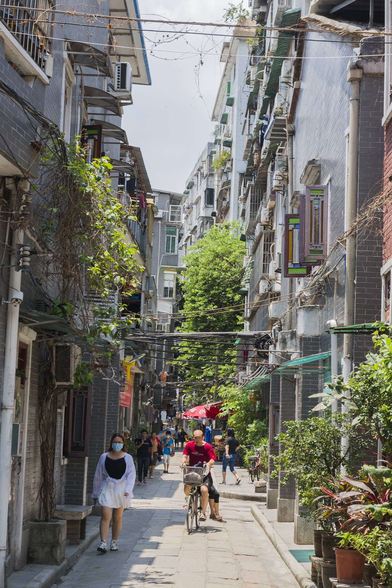 广州西关竟是皇帝的御花园,曾是西关小姐居住地,有条