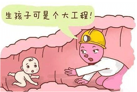 胎兒頭很大，如何通過那麼小的產道的？看完你就明白了。《網路文章》