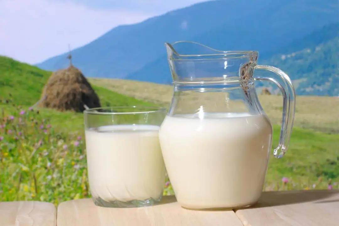 羊奶vs牛奶,生活中究竟该怎么选择?