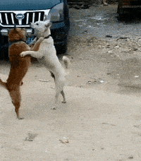 原创搞笑gif:妹子演技可以,表情很到位! 简直配合的天衣无缝