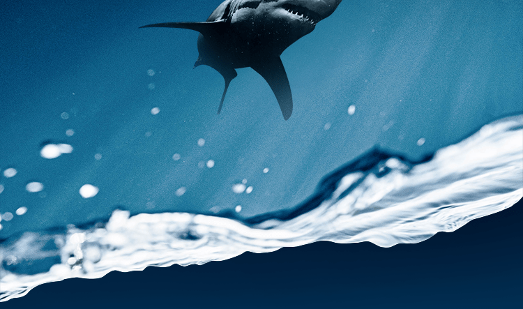 沛纳海|深海巨轮空降三里屯,神秘宝藏邀你一起“乘风破浪”