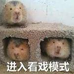 郁可唯|惊人变脸史、P图都P不出来的腿，谁能想到爆红的背后这么心酸呢...