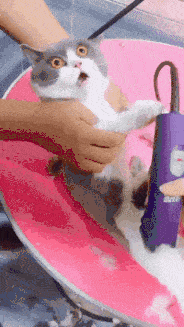搞笑gif:小样,你以为下雪你就能跑得了吗