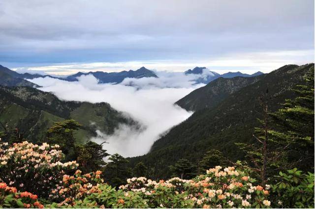 作为省级风景名胜区"灵鹫山",是世界自然遗产——四川大熊猫栖息地和