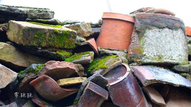 蜀山|临蠡河靠蜀山 宜兴古南街文艺又清净 后山名蜀还是苏东坡命名