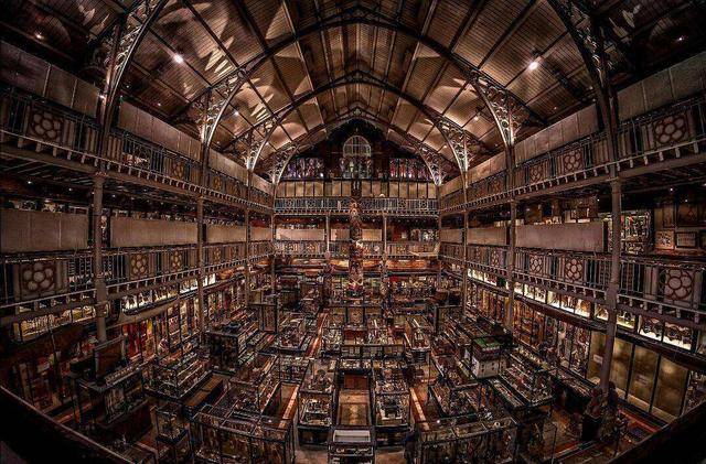 others|他短暂而炽烈的一生，是狮子座绽放出的反骨“疯子”