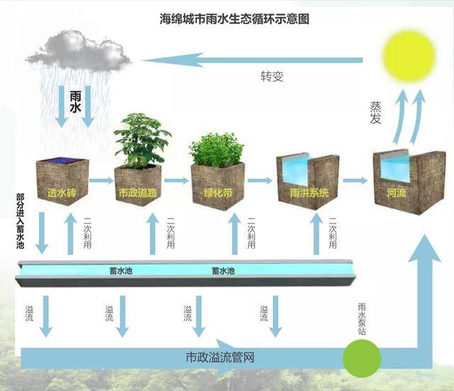 卓宝海绵城市雨水收集排放系统,城市自然呼吸全靠它