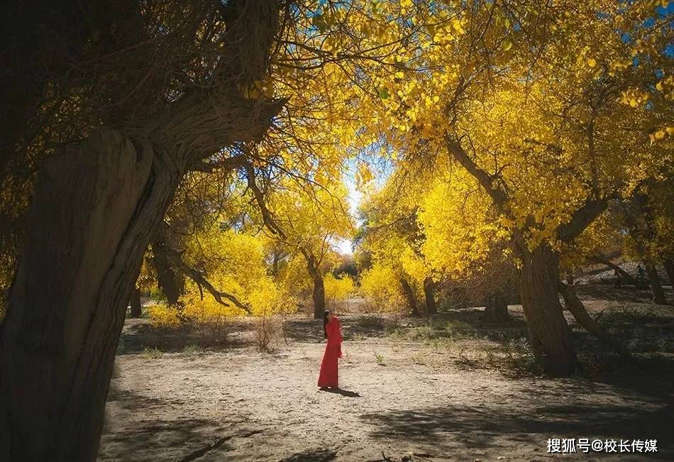 高考|高考成绩出来了，请不要打扰别人的幸福！