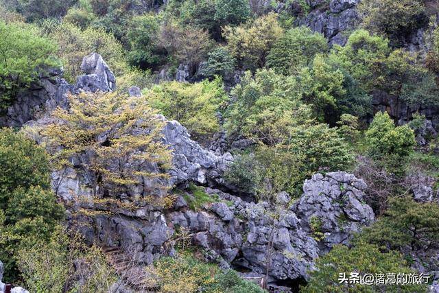 三衢石林 4a景区