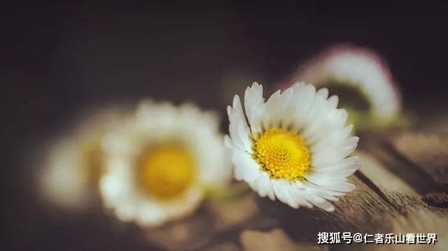 1.采用虚实结合来的手法