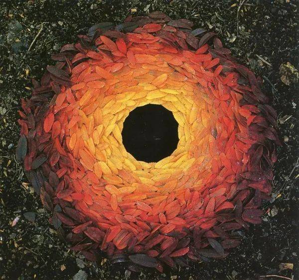 大地艺术代表 andy goldsworthy