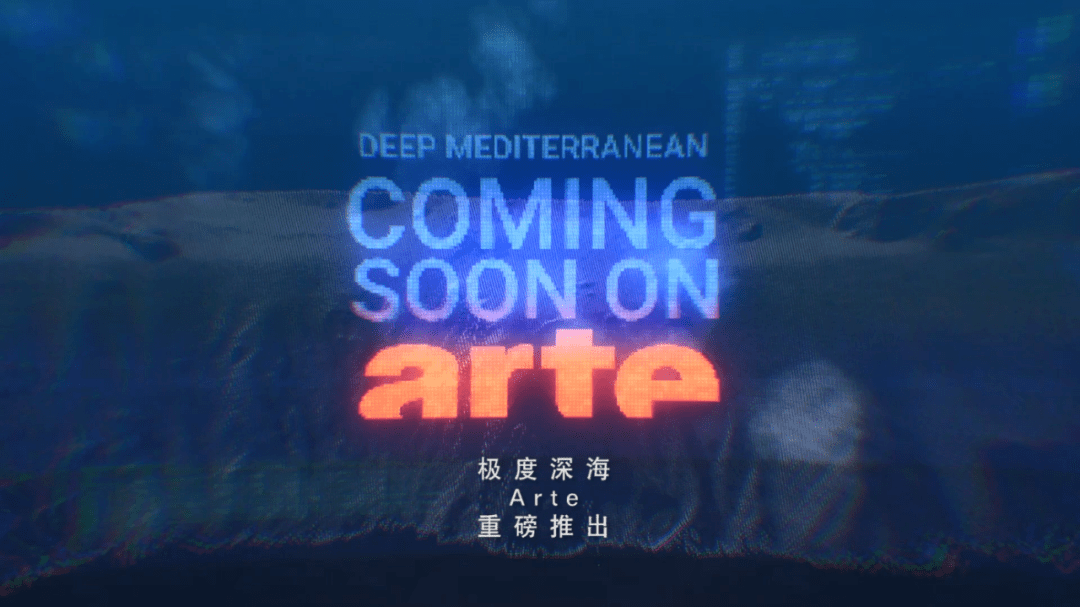 潜水|如何一眼识别“隐形贵公子”？