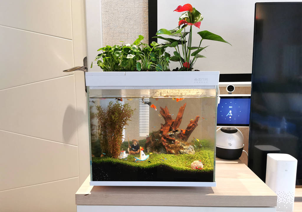监测|哪种鱼缸更适合养鱼？画法几何AI智能鱼缸，水质监测还能自动喂食