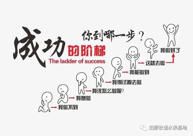 成功的阶梯你到哪一步?