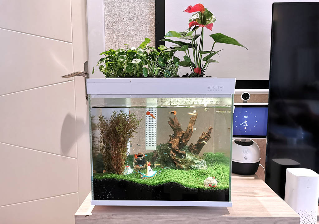 监测|哪种鱼缸更适合养鱼？画法几何AI智能鱼缸，水质监测还能自动喂食