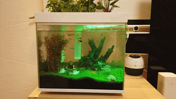 监测|哪种鱼缸更适合养鱼？画法几何AI智能鱼缸，水质监测还能自动喂食