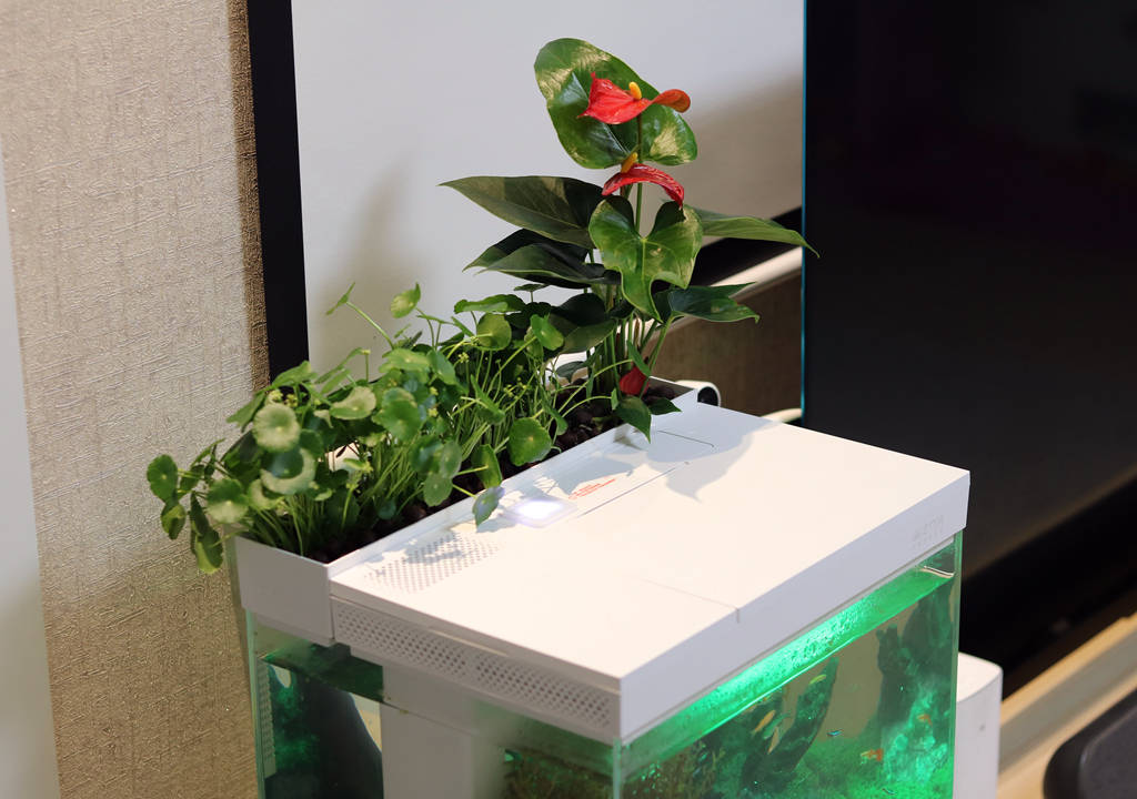 监测|哪种鱼缸更适合养鱼？画法几何AI智能鱼缸，水质监测还能自动喂食