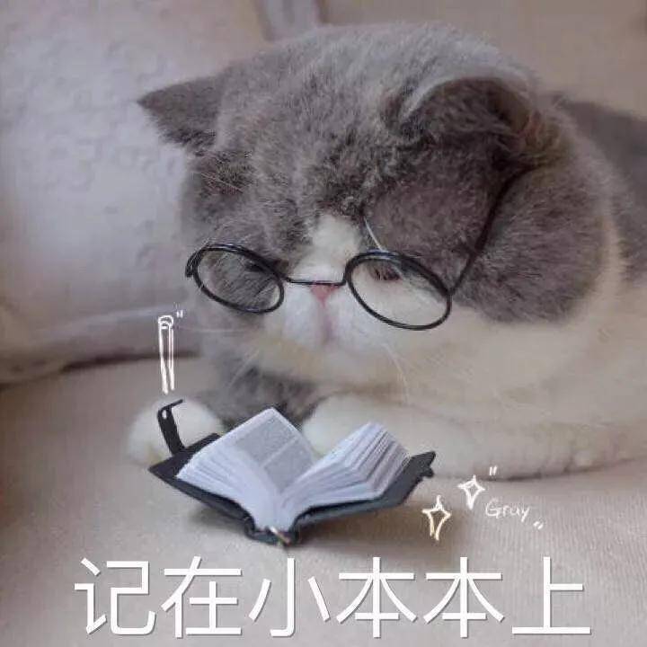 除了出国留学，雅思居然还有这么多用处？