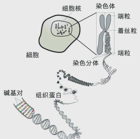 ff9a9888a8a04f7bb6ad901cbb1d7108.jpeg
