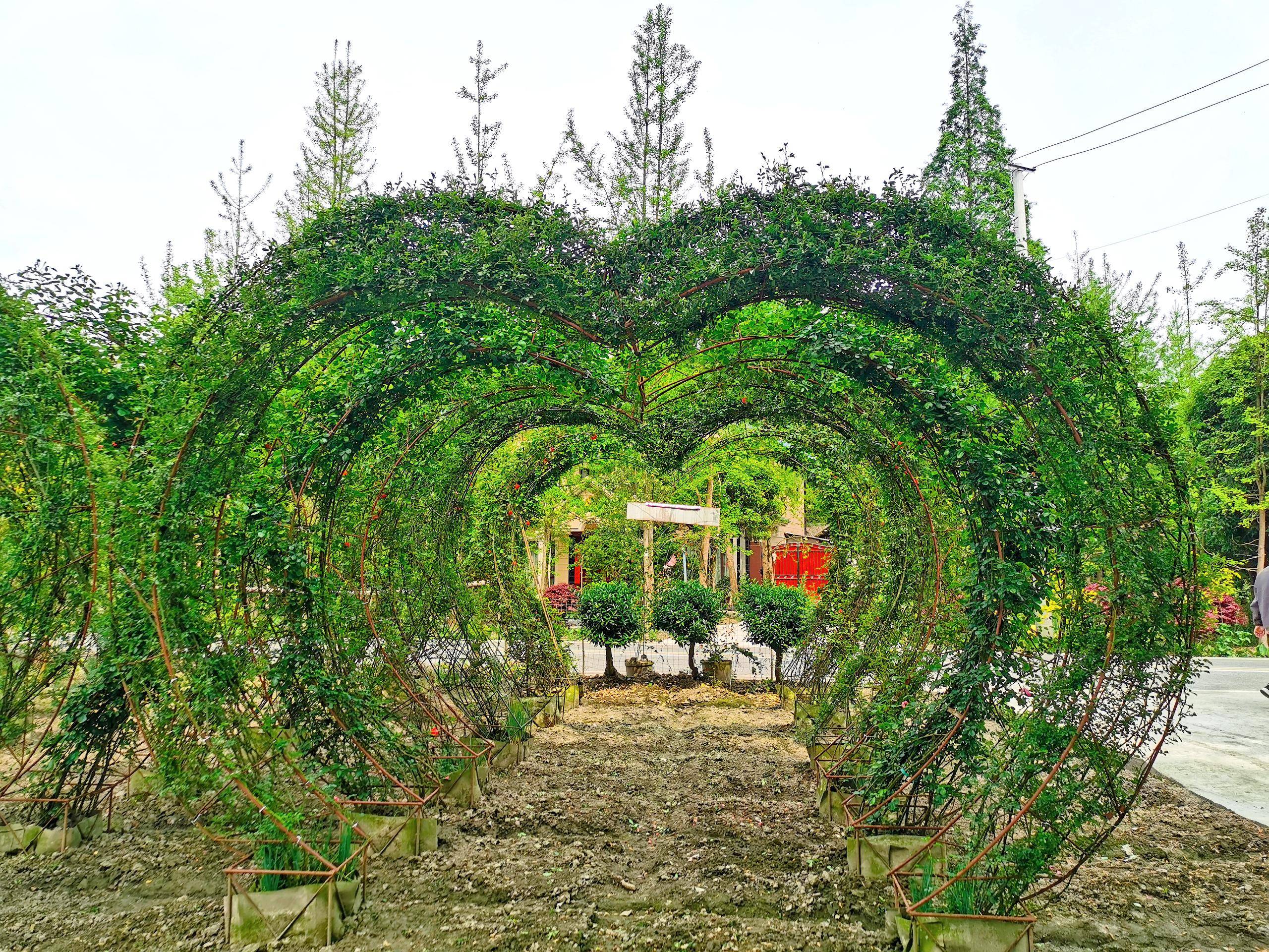 寿安——植物编艺之乡和它的艺术家们