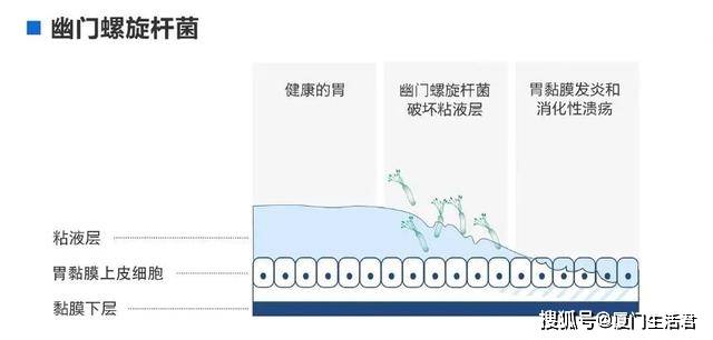 全球感染有多少人口_全球有多少贫困人口