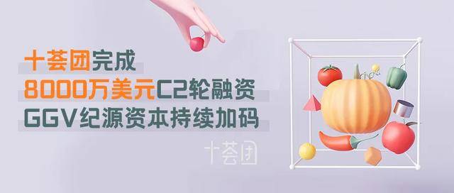 融资|十荟团宣布完成8000万美元融资 鼎晖领投GGV渶策资本跟投
