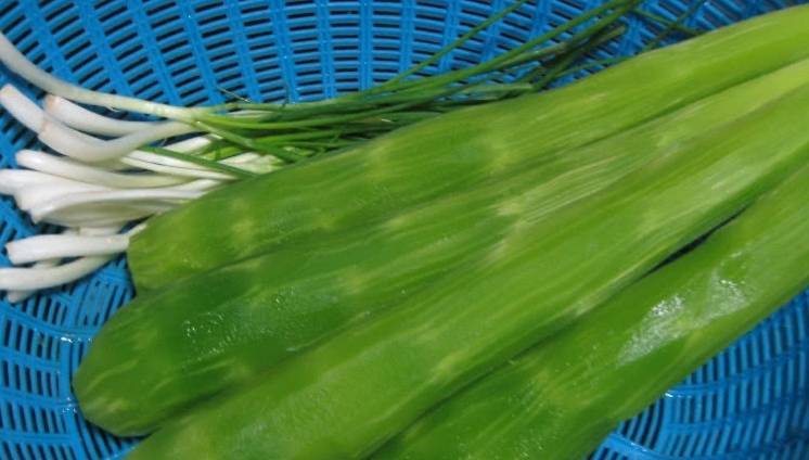 笋是什么梗 b5b31a6ba03045bf83866ad447b76a8f.jpeg