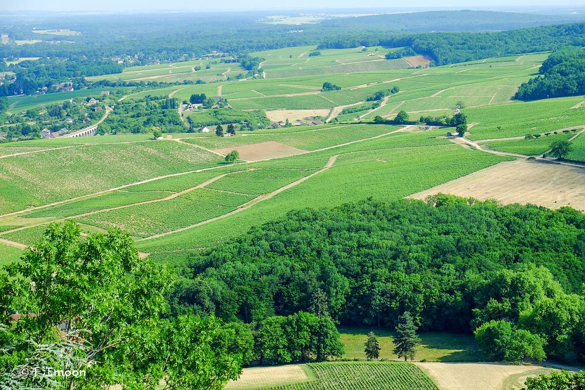 法国桑塞尔：全球顶级白葡萄酒产地，风景如画！