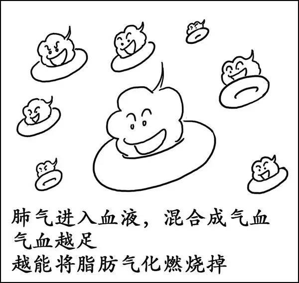 什么|湿气到底是什么？——长胖的罪魁祸首！！