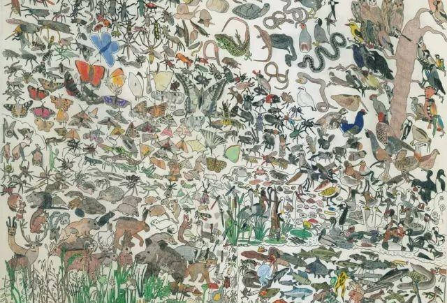 故事传记|3岁画画的自闭症天才，无需起稿画出400种动物，画出了另一个世界