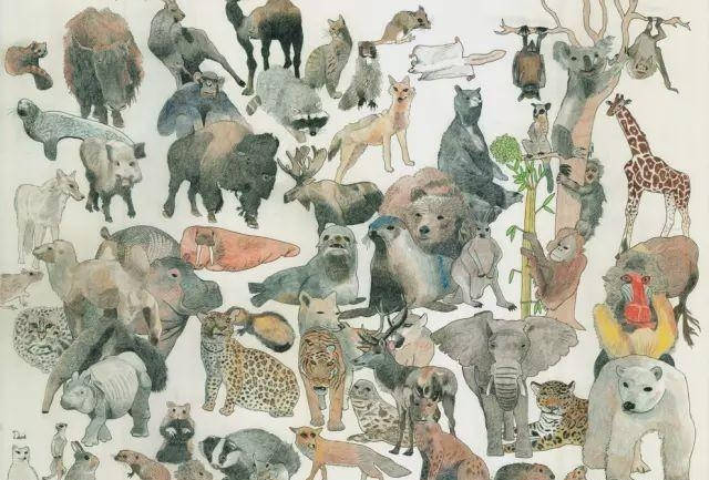 故事传记|3岁画画的自闭症天才，无需起稿画出400种动物，画出了另一个世界